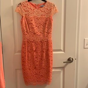 Ombre lady’s dress